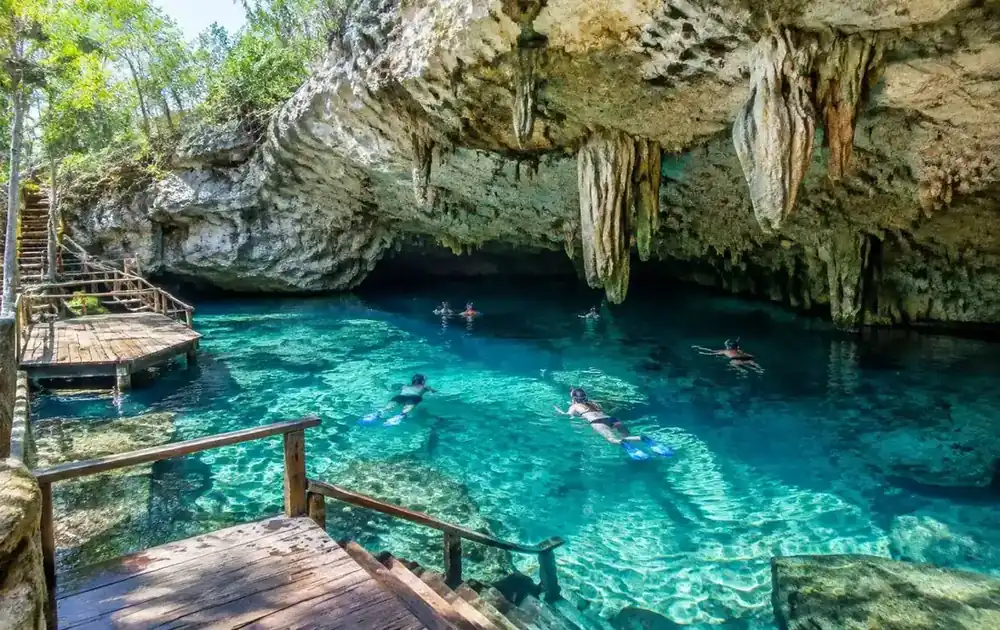 Snorkelers floating in a semi-open cenote under hanging limestone stalactites in Mexico